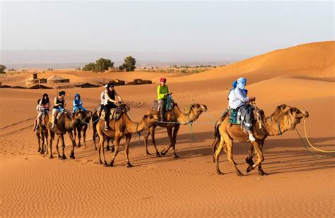 Camel Trekking in Morocco | Caravane Du Grand Erg