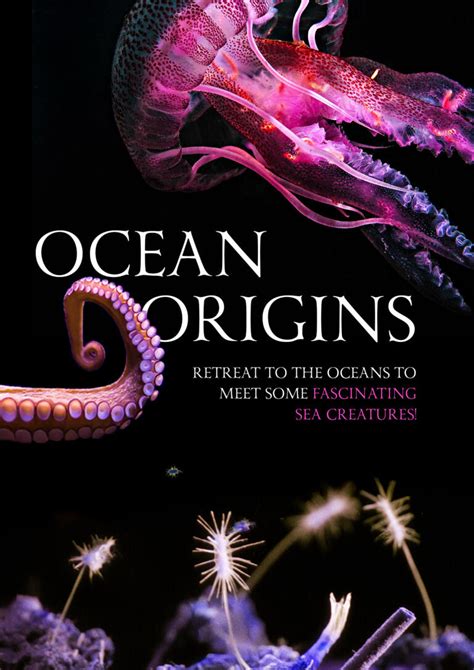 Ocean Origins Dreamscape Publishing