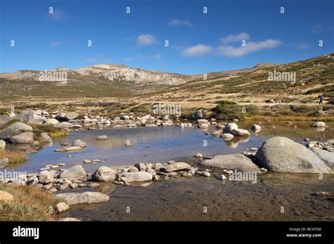 Snowy River Main Range Track Charlotte Pass Kosciuszko National Park