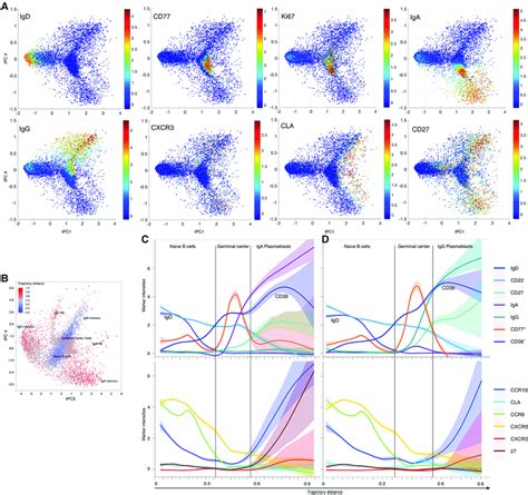 Fig S5 Tspace Reveals Tonsil B Cell Development Related To Figure 2 Download Scientific