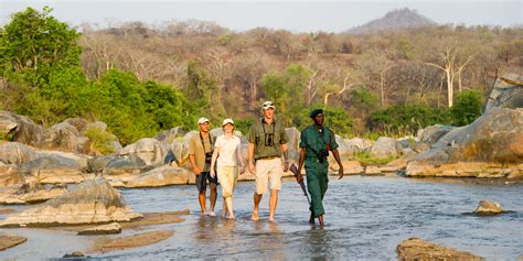 South Luangwa National Park Safaris Zambia Yellow Zebra Safaris