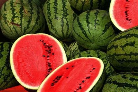 🍉 تعبیر خواب هندوانه از نظر معبران معروف و موضوعات مختلف فردای تازه