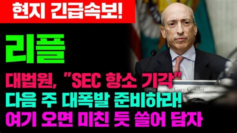 현지 긴급속보 리플 대법원 Sec 항소 기각다음 주 대폭발 준비하라 여기 오면 미친 듯 쓸어 담자 리플 리플전망