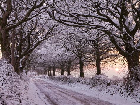 Exmoor In Winter Somerset England Snow Scenes Winter Scenes Free