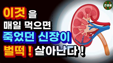 신장 콩팥 살리는 최고 좋은 음식 이것을 매일 먹으면 죽었던 신장 확 살아납니다 신장에 좋은 음식 신장에 나쁜 음식