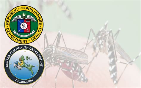 DENGUE CASES SA CALABARZON BUMABA PILIPINO Mirror