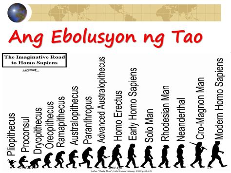 Pinagmulan Ng Tao