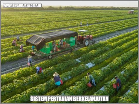 Sistem Pertanian Berkelanjutan Menjaga Keseimbangan Alam Dan Kehidupan