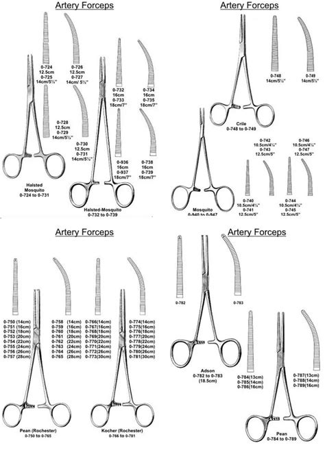 What Are The Types Of Forceps - Womens Fashion Outfits