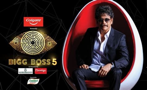 Bigg Boss 5 Scraps Wild Card Entry | greatandhra.com