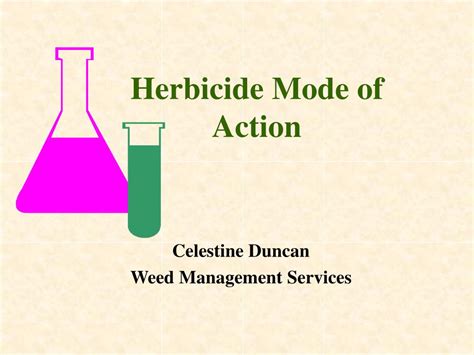 PPT - Herbicide Mode of Action PowerPoint Presentation, free download - ID:373953