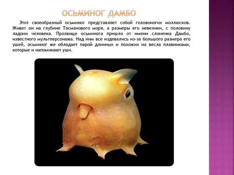 Этот удивительный мир. Необычные животные нашей планеты - online ...