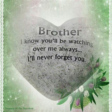 The 100 Greatest Brother Quotes And Sibling Sayings Brother Quotes Birthday Quotes For Him