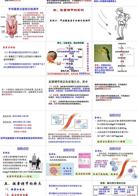 第2章 动物和人体生命活动的调节教学课件ppt卡卡办公