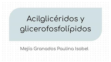 Acilglic Ridos Y Glicerofosfol Pidos Paulina Isabel Mej A Granados