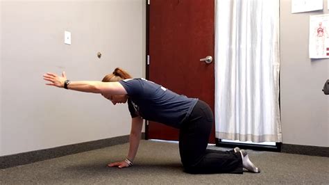 Quadruped Shoulder Flexion Youtube