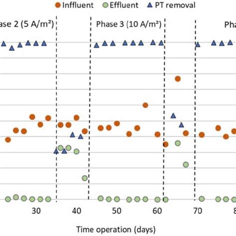 Evolution Of The Concentration Of Tp In The Influent And Effluent Of