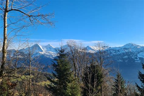 Beatenberg Berner Oberland Bei Interlaken