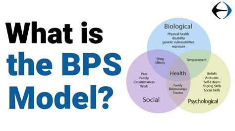 Why Is The Biopsychosocial Bps Model The Missing Link To Long Lasting