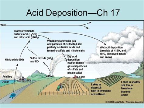 Acid Rain Definition Causes Effects Formulas Britannica 43 Off