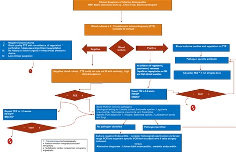 Algorithmic Diagram Of A Suggested Workup For Infective Endocarditis