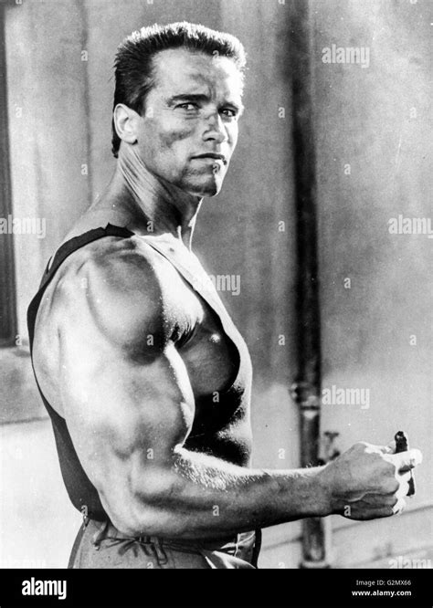 Arnold Schwarzenegger In Commando 1985 Stock Photo Alamy