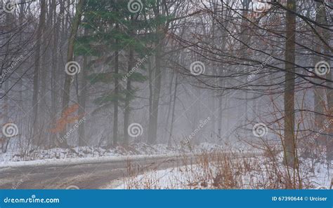 Slush On The Road Stock Photo CartoonDealer 67390644