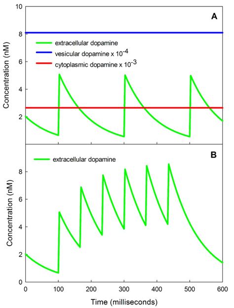 Extracellular Dopamine With Seconds Of Stimulation The Time Course