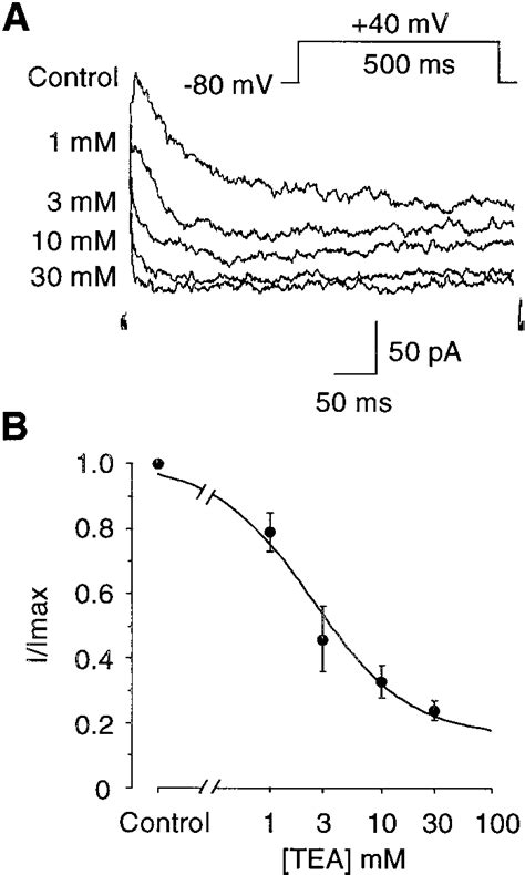 Dose Response Relationship Of Tetraethylammonium Tea On Download Scientific Diagram