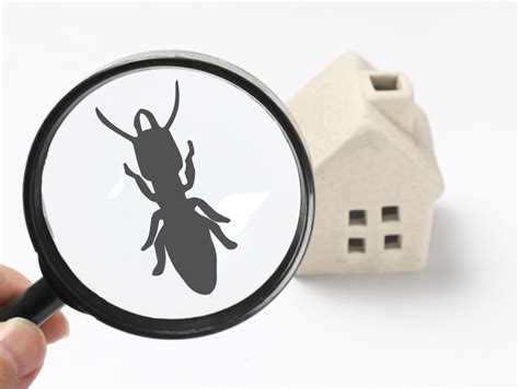 Termite Inspection Omaha Omaha Pest Control Inc