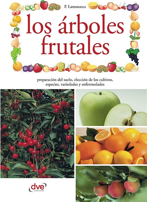 Details Precio De Rboles Frutales En M Xico Abzlocal Mx