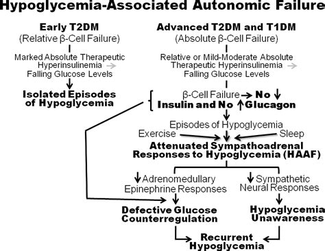 Hypoglycemia In Type 1 Diabetes Mellitus Endocrinology And Metabolism