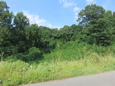 Kudzu Covered Landscape Docena Alabama As Seen From Wes Flickr