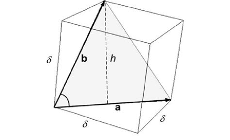 Largest Triangle Contained In A Voxel Download Scientific Diagram