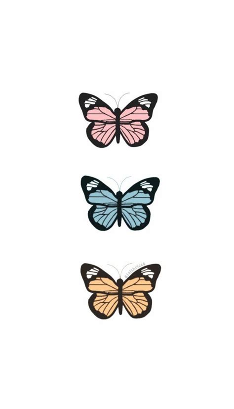 Butterfly Aesthetic Drawing