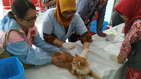 Pelayanan Klinik Hewan Gratis Bidang Kesehatan