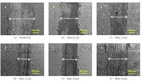 Tc4钛合金表面电沉积co Wmos2复合镀层及摩擦磨损性能研究 测试狗·科研服务