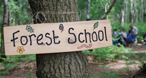 Thongsley Fields Primary School Forest School