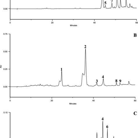 HPLC PAD Chromatograms Detection At 350 Nm Of The Methanolic Extracts