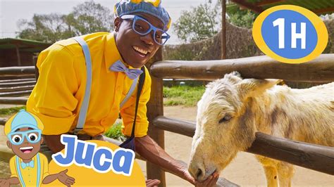 Juca Visita Uma Fazenda De Animais 1 HORA DE JUCA Blippi Em