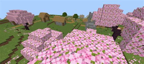 Bioma De Cerezo Al Lado De Una Aldea R Minecraftpe