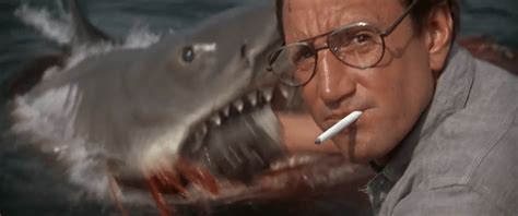 Jaws: Novel vs. Film - Horror Movie - Horror Homeroom