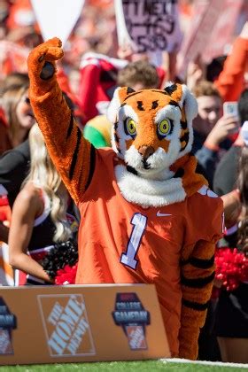 Clemson Tiger Mascot Before Ncaa College Editorial Stock Photo - Stock ...