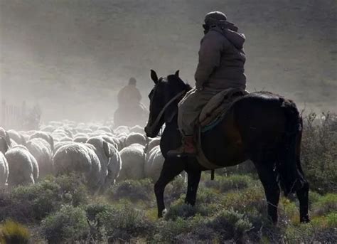 Ingresan A Robar En El Casco De La Estancia El Mangrullo