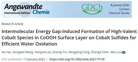 武汉大学罗威angew：利用分子间带隙调控coooh表面，生成促进oer的4价co物种 清新电源