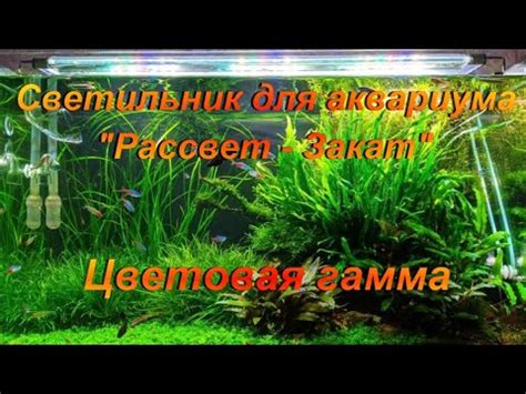 Светильник для аквариума Рассвет - Закат. "Цветовая гамма". - YouTube