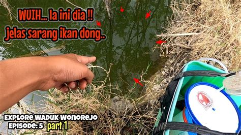 KAGET CAMPUR SENENG TIAP KETEMU SPOT SEPERTI INI Mancing Ikan Red