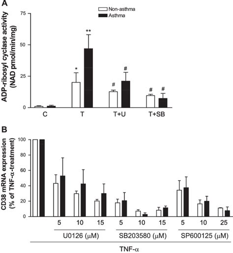 Effect Of Mapk Inhibitors On Cd38 Expression In Hasm Cells Hasm Cells Download Scientific