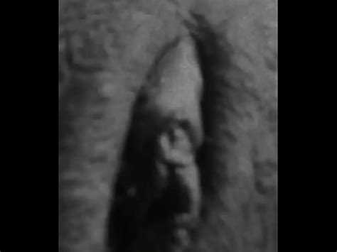 Cupidpussy Wet Pussy XVIDEOS