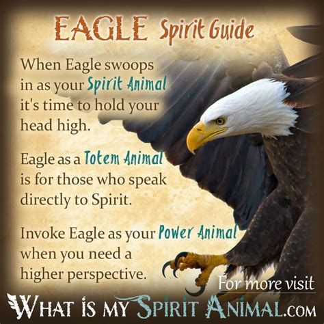 Eagle Symbolism & Meaning | Spirit, Totem & Power Animal